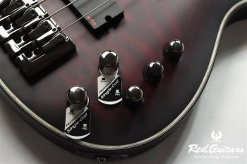 AD-HR-EX-BASS-4 - CRBS